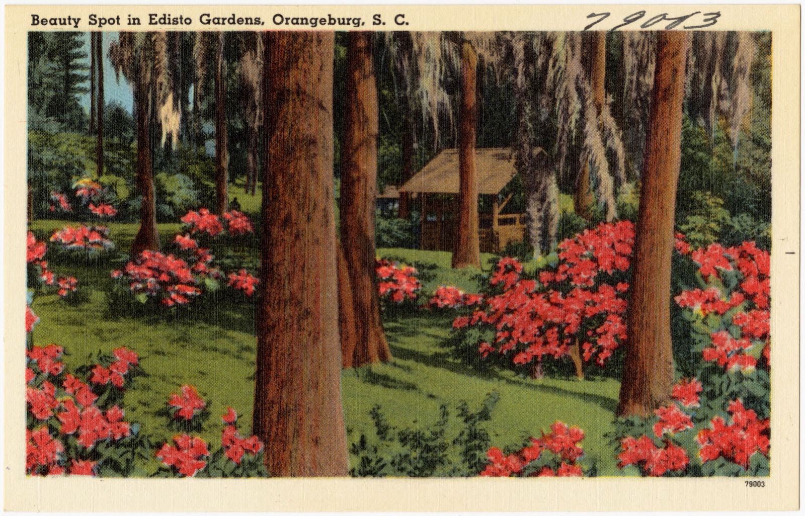 Beauty spot in Edisto Gardens, Orangeburg, S. C., Boston Public Library - undated