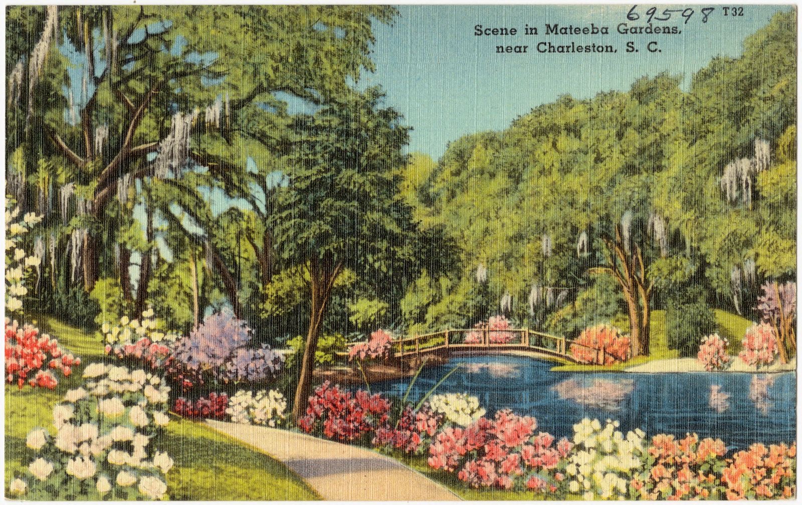 Scene in Mateeba Gardens, near Charleston, S. C., Boston Public Library - undated