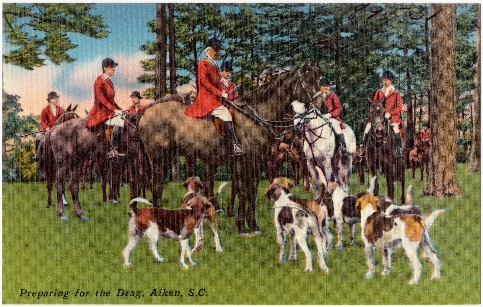 Preparing for the Drag, Aiken, S. C., Boston Public Library - undated