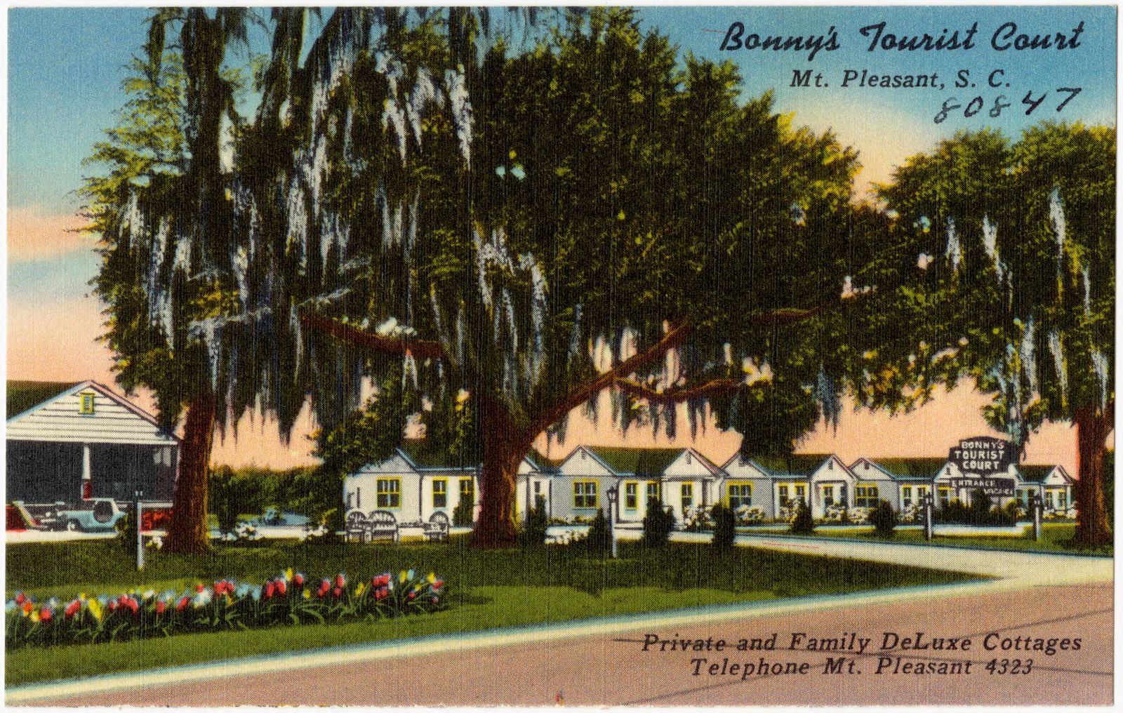 Bonny's Tourist Court, Mt. Pleasant, S. C., Boston Public Library - undated