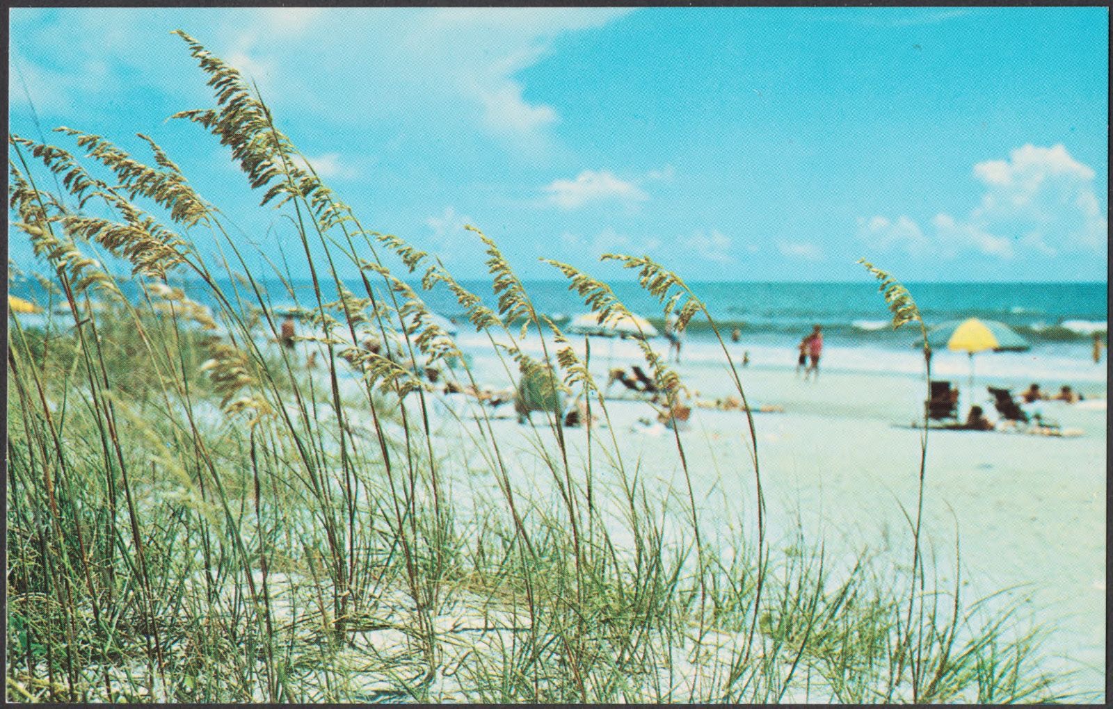 Sea oats bend the way of gentle tradewinds in beautiful Myrtle Beach and North Myrtle Beach, S. C., Boston Public Library - undated