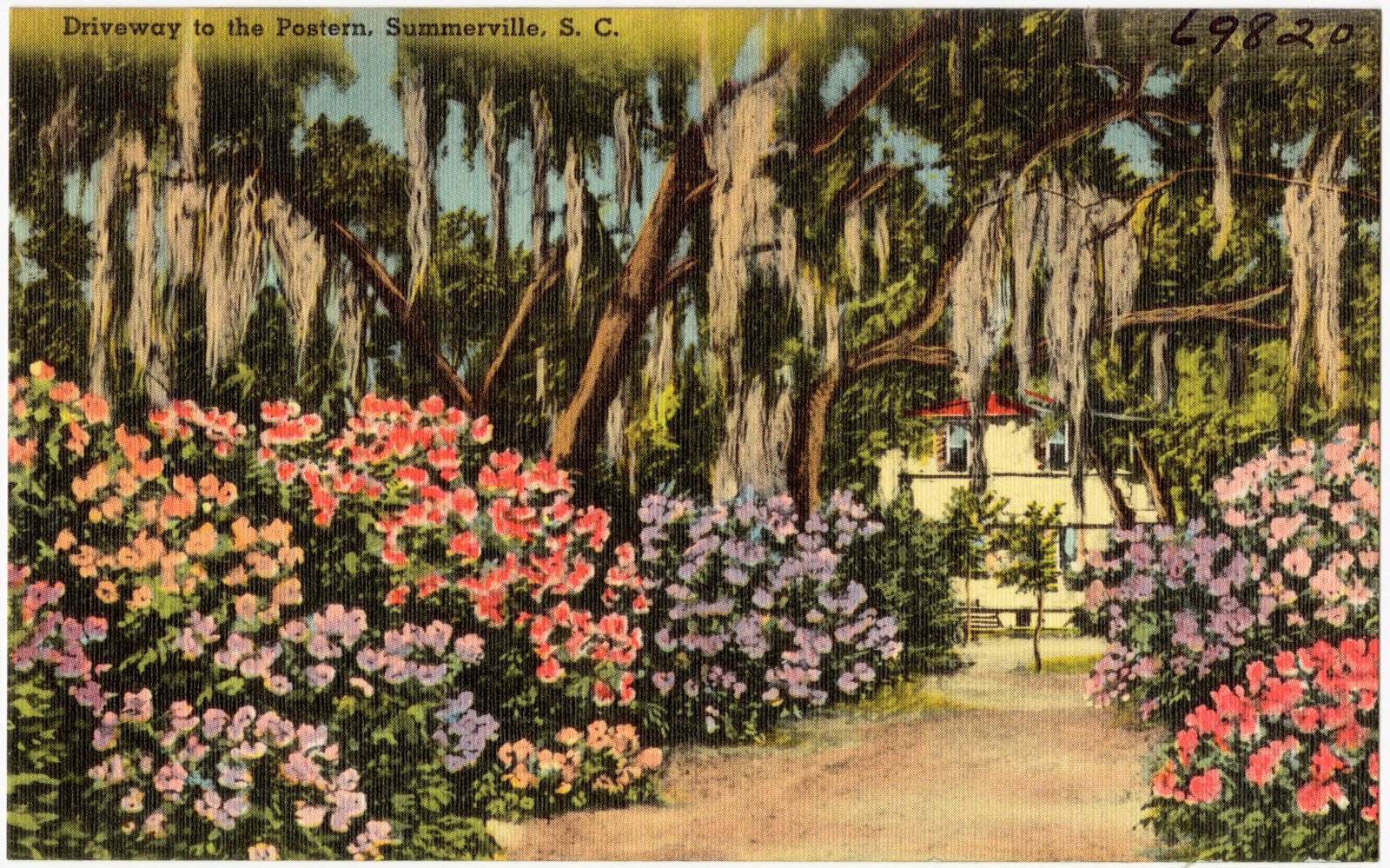 Driveway to the Postern, Summerville, S. C., Boston Public Library - undated