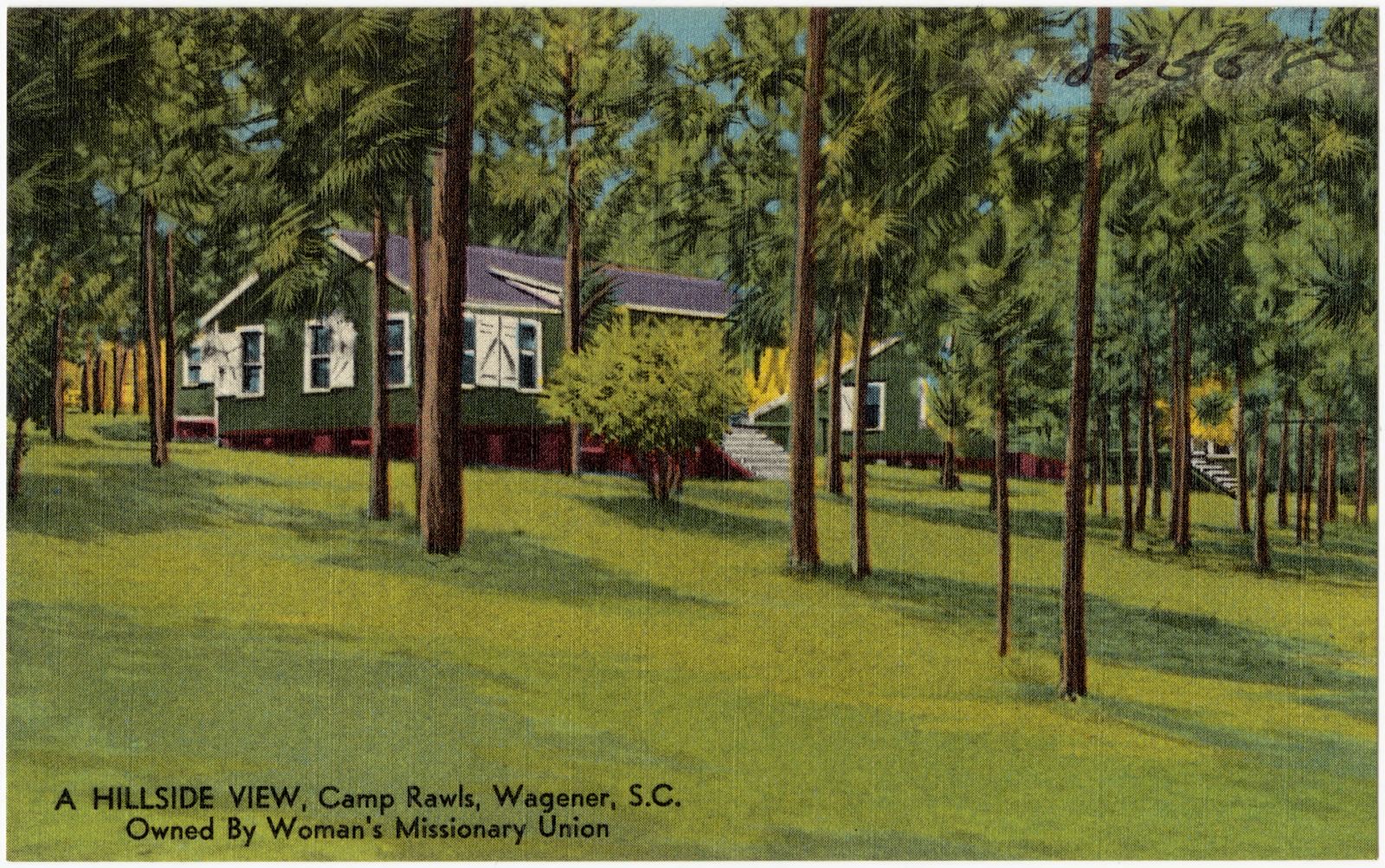 A hillside view, Camp Rawls, Wagener, S. C., owned by Woman's Missionary Union, Boston Public Library - undated