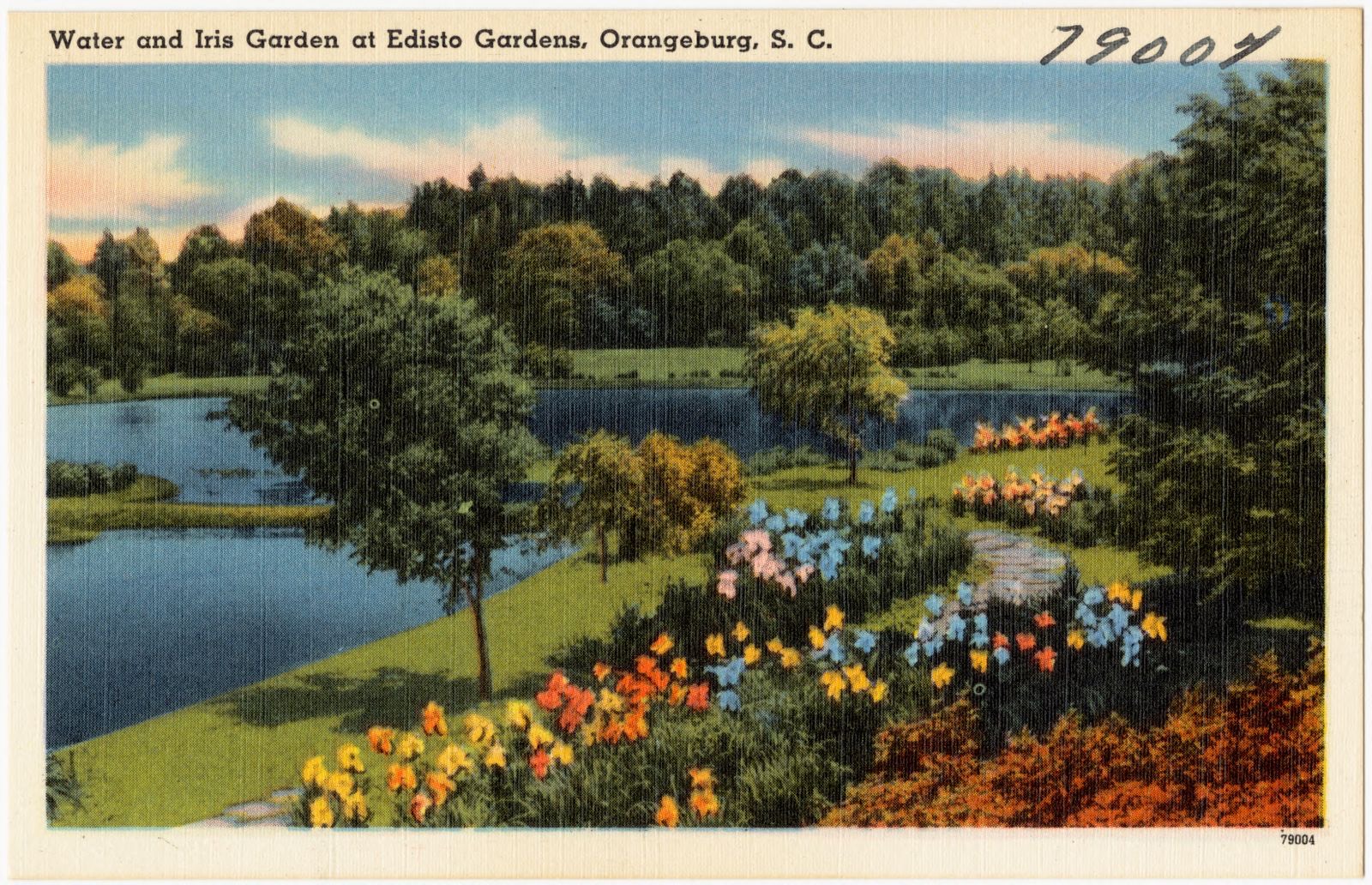 Water and Iris Garden at Edisto Gardens, Orangeburg, S. C., Boston Public Library - undated