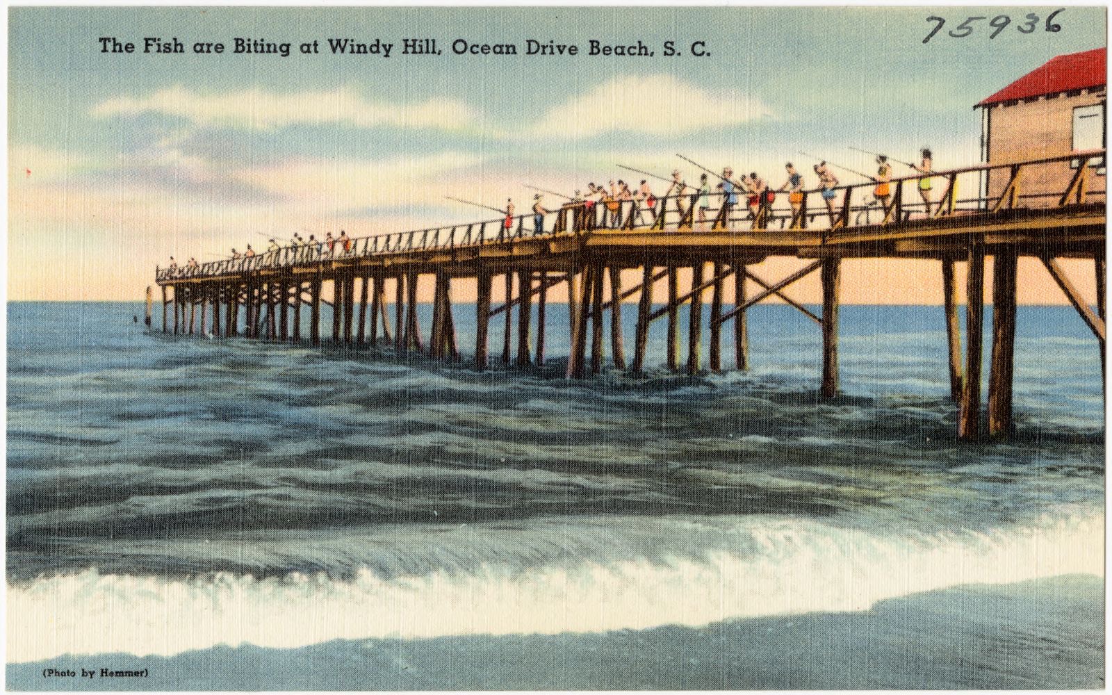 The fish are biting at Windy Hill, Ocean Drive Beach, S. C., Boston Public Library - undated