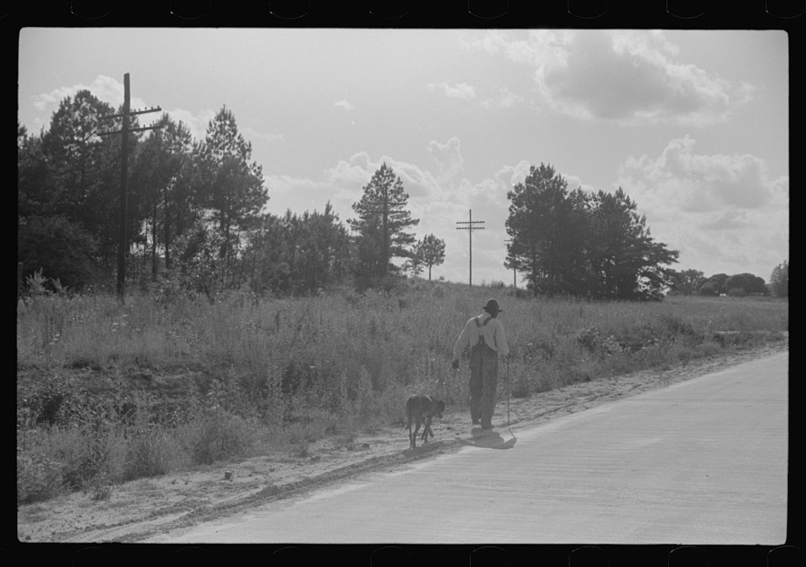 Along highway near Manning, Clarendon County, South Carolina