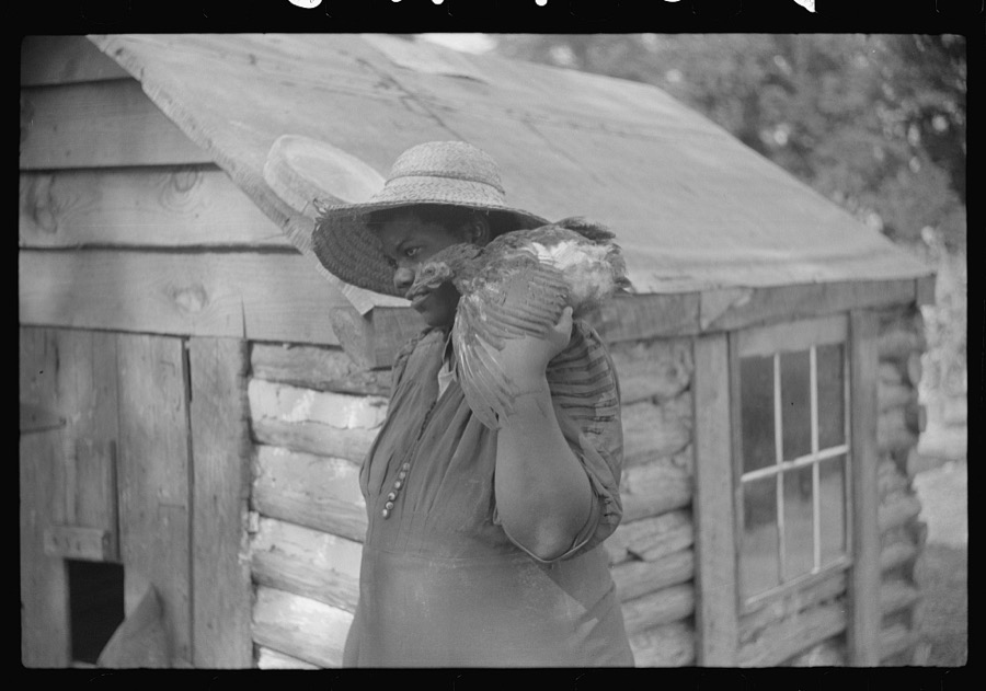Pauline Clyburn, rehabilitation borrower, Manning, Clarendon County, South Carolina, and her son repairing home