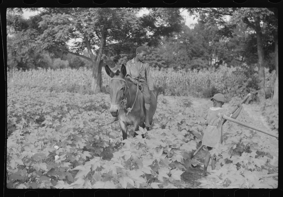 Two of Pauline Clyburn's children, rehabilitation borrowers, Manning, Clarendon County, South Carolina