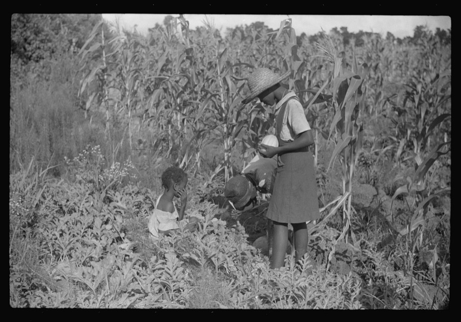 Two of Pauline Clyburn's children, rehabilitation borrowers, Manning, Clarendon County, South Carolina
