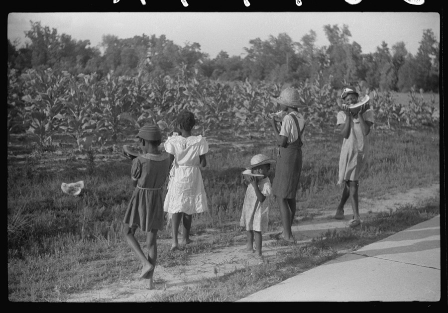 Pauline Clyburn's children, rehabilitation borrowers, coming out of field, Manning, Clarendon County, South Carolina
