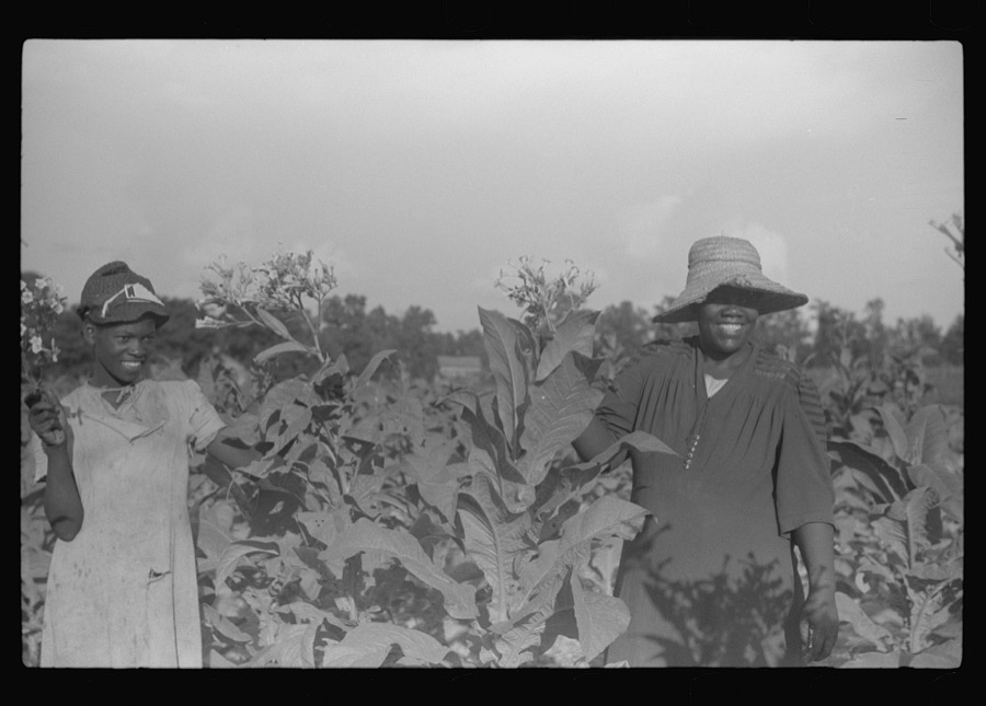 Pauline Clyburn's children, rehabilitation borrowers, coming out of field, Manning, Clarendon County, South Carolina