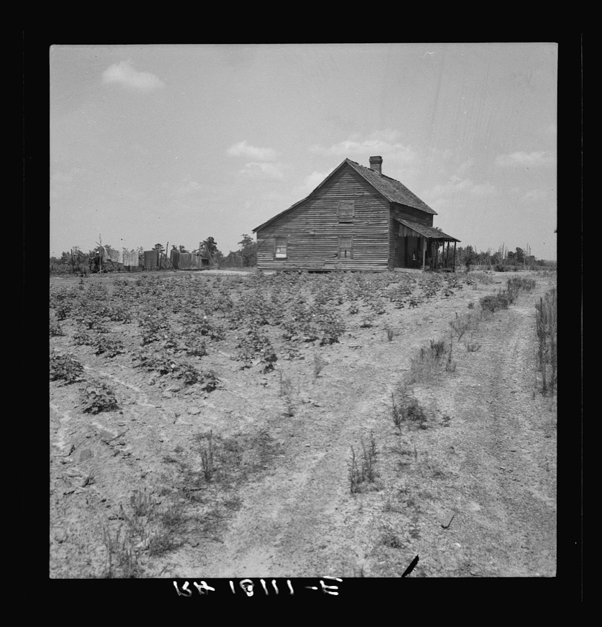 House of cotton sharecropper (white) near Gaffney, South Carolina