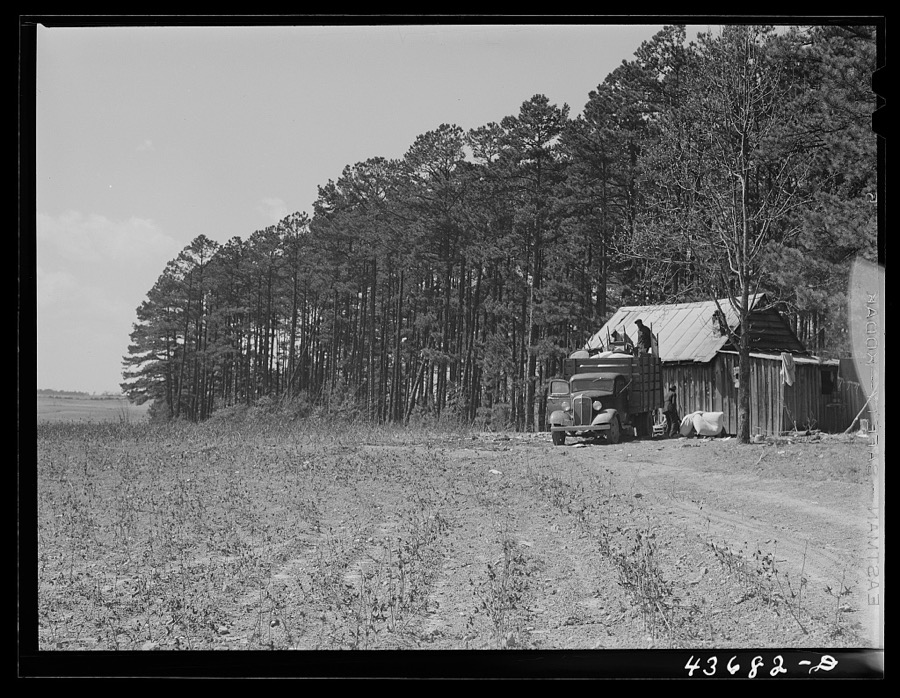 Negro family moving out of Camp Croft area collecting some belongings from a relative. Near Spartanburg, South Carolina region
