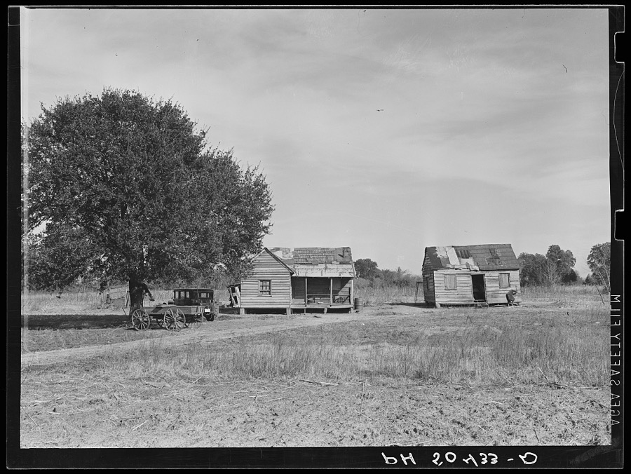 Negro homes near Summerville, South Carolina