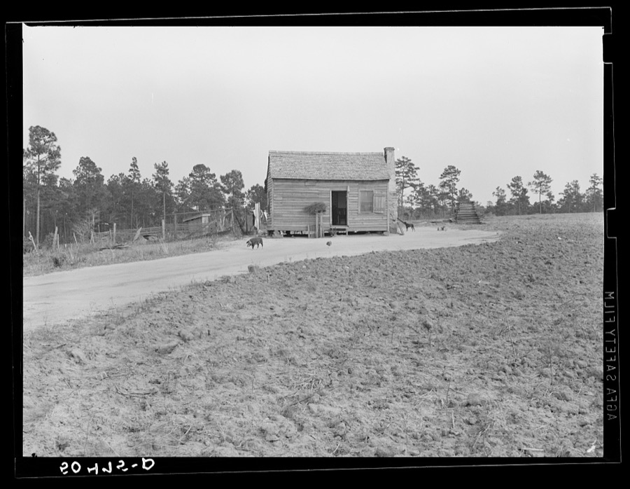 Clean and well-kept Negro shack near Columbia, South Carolina (Monticello Road)
