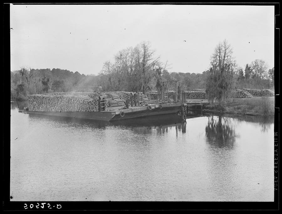 Logs on river barge near sawmill. Ashepoo, South Carolina