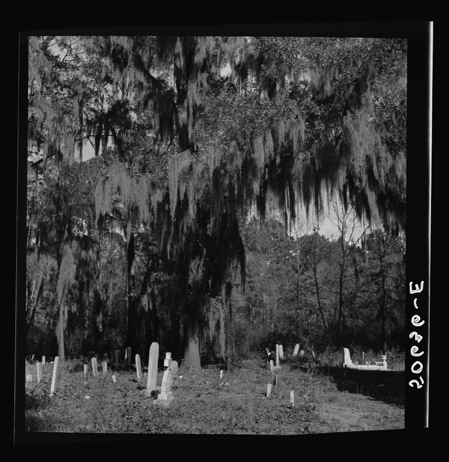 Graveyard in rear of church near Summerville, South Carolina