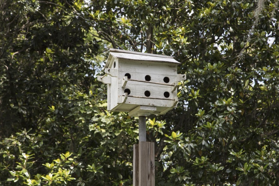 Birdhouse at Hopsewee Plantation, near the settlement of North Santee, along the Santee River in Georgetown County, South Carolina