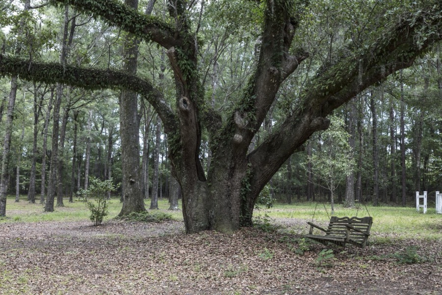 Grounds at Hopsewee Plantation, near the settlement of North Santee, along the Santee River in Georgetown County, South Carolina