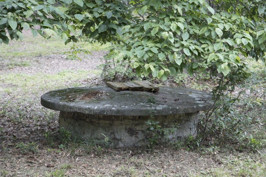 Old well covering at Hopsewee Plantation, near the settlement of North Santee, along the Santee River in Georgetown County, South Carolina