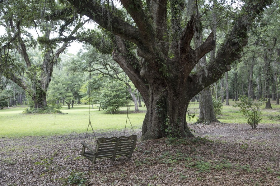 Grounds at Hopsewee Plantation, near the settlement of North Santee, along the Santee River in Georgetown County, South Carolina