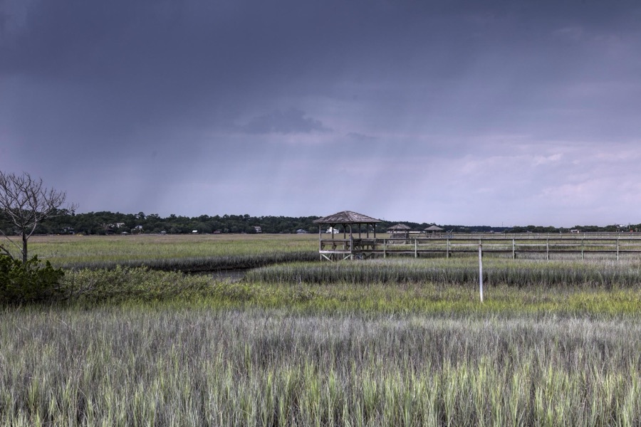 Scene on marshy Pawley's Island, a barrier island in Georgetown County, South Carolina