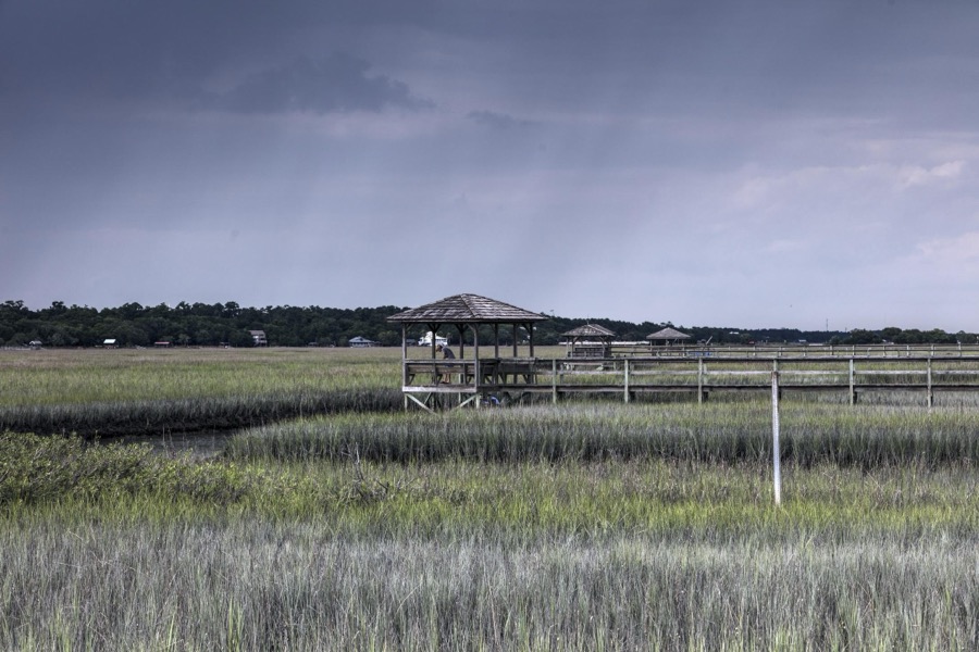 Scene on marshy Pawley's Island, a barrier island in Georgetown County, South Carolina