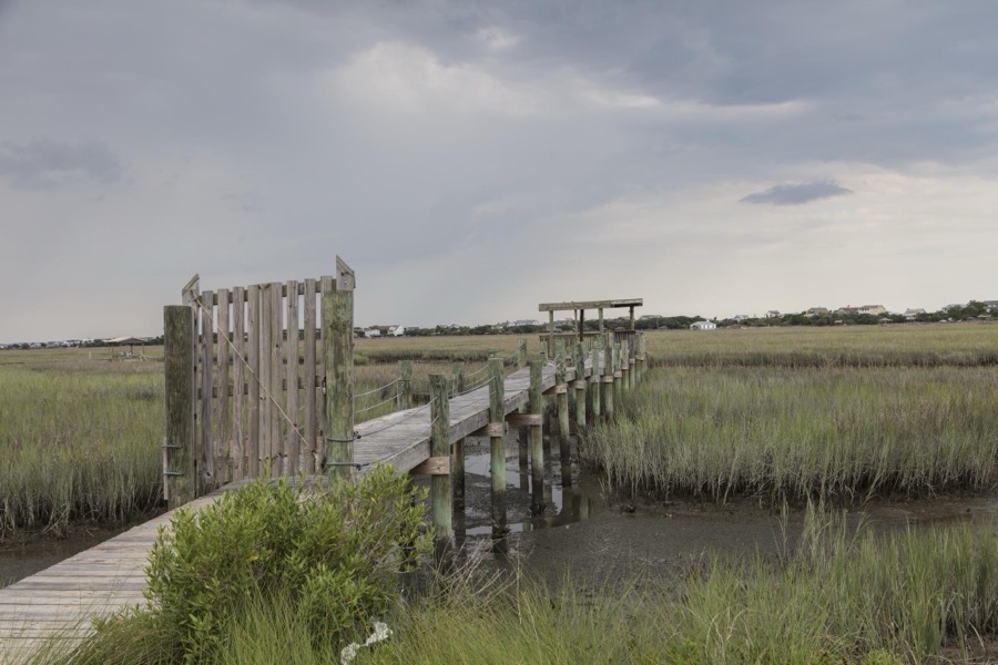 Scene on marshy Pawley's Island, a barrier island in Georgetown County, South Carolina