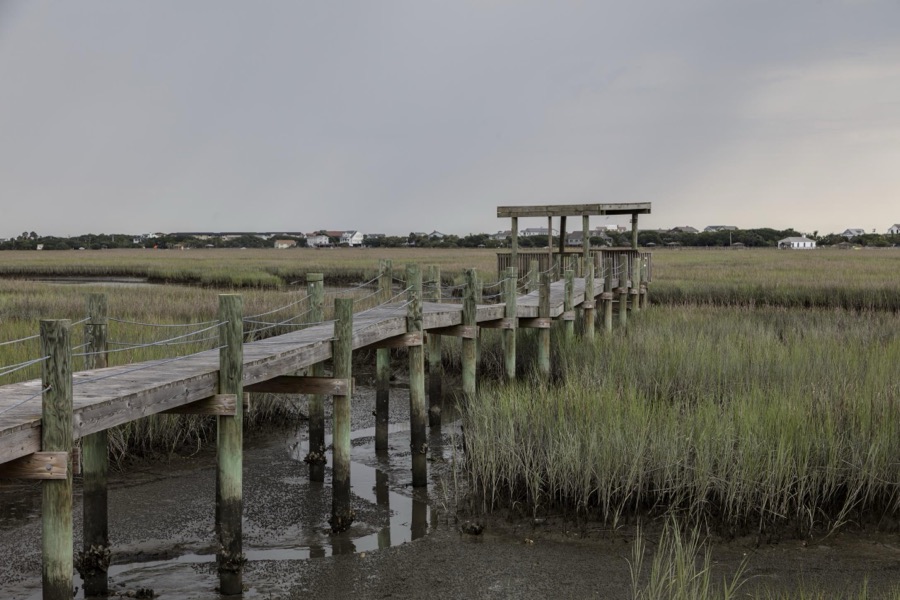 Scene on marshy Pawley's Island, a barrier island in Georgetown County, South Carolina