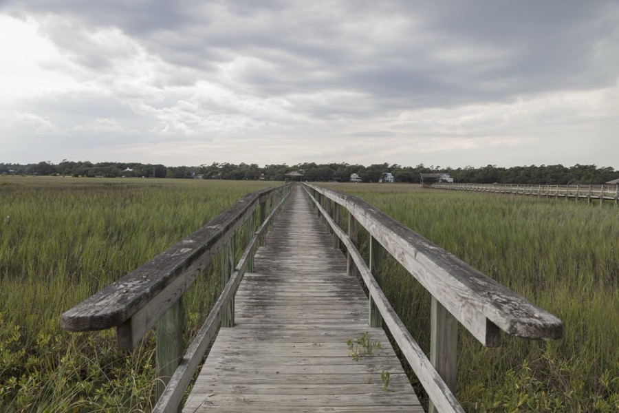 Scene on marshy Pawley's Island, a barrier island in Georgetown County, South Carolina