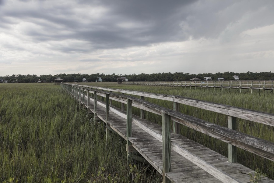 Scene on marshy Pawley's Island, a barrier island in Georgetown County, South Carolina