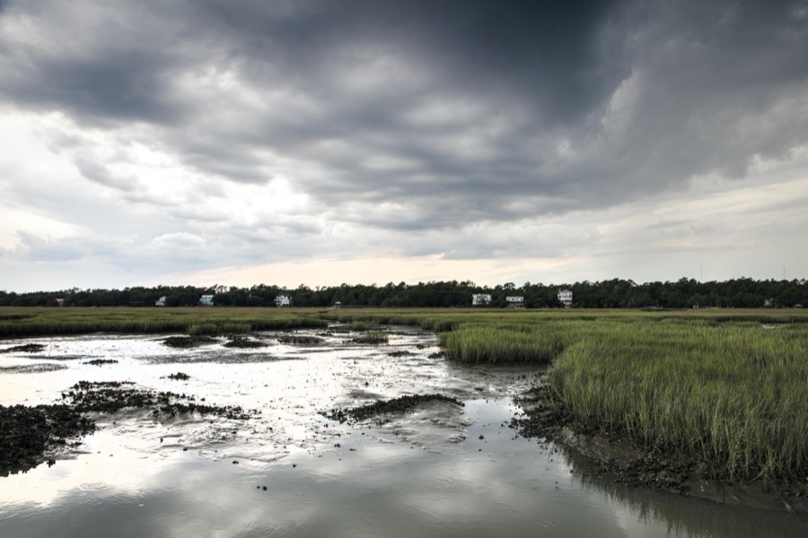 Scene on marshy Pawley's Island, a barrier island in Georgetown County, South Carolina