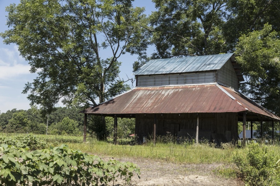 An old, typical South Carolina barn with an overhanging tin roof near Dog Bluff in Horry County, South Carolina