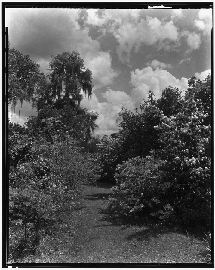 Middleton Place, Ashley River vic., Dorchester County, South Carolina