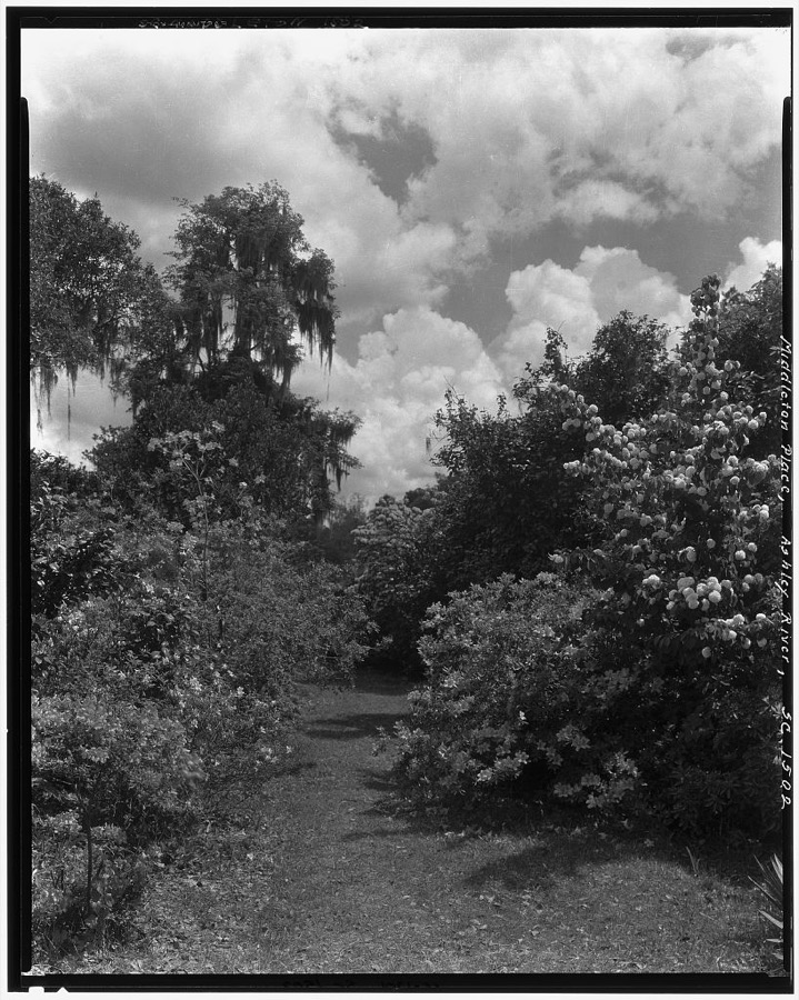 Middleton Place, Ashley River vic., Dorchester County, South Carolina