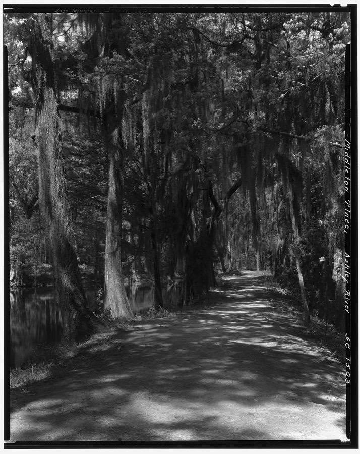 Middleton Place, Ashley River vic., Dorchester County, South Carolina