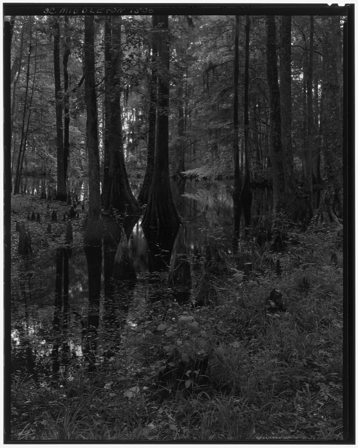 Middleton Place, Ashley River vic., Dorchester County, South Carolina
