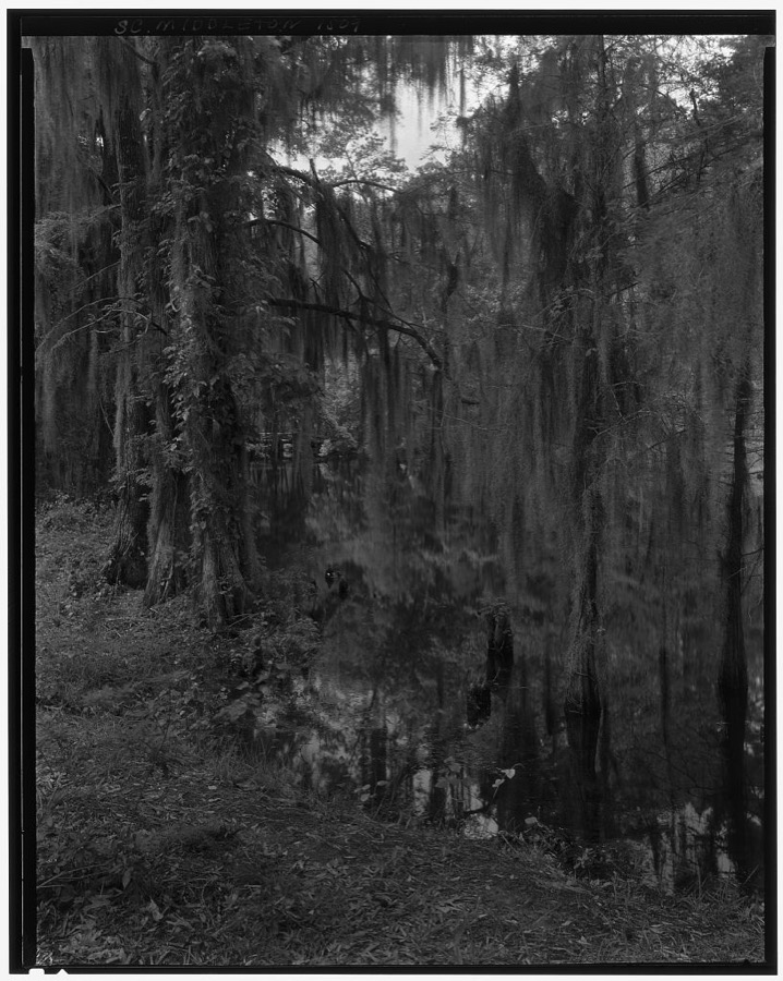 Middleton Place, Ashley River vic., Dorchester County, South Carolina