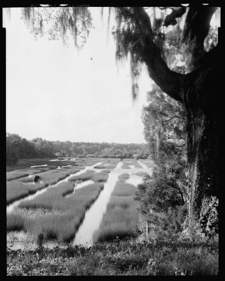 Mulberry, Moncks Corner vic., Berkeley County, South Carolina