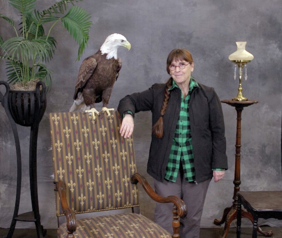 American photographer Carol M. Highmith has a large bald eagle's rapt(or) attention in a studio setting, part of an exotic bird exhibition at the Western Carolina State Fairgrounds in Aiken, South Carolina