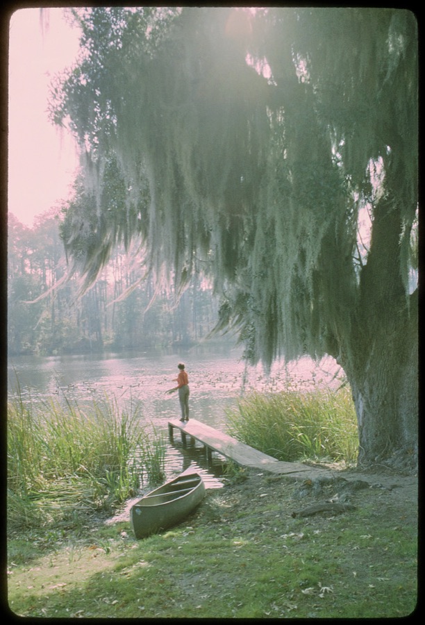 [Medway Plantation Near Charleston, South Carolina
