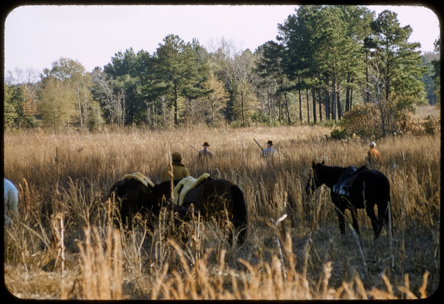 Quail Hunting - Extras