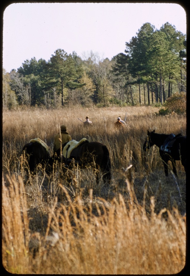 Quail Hunting - Extras