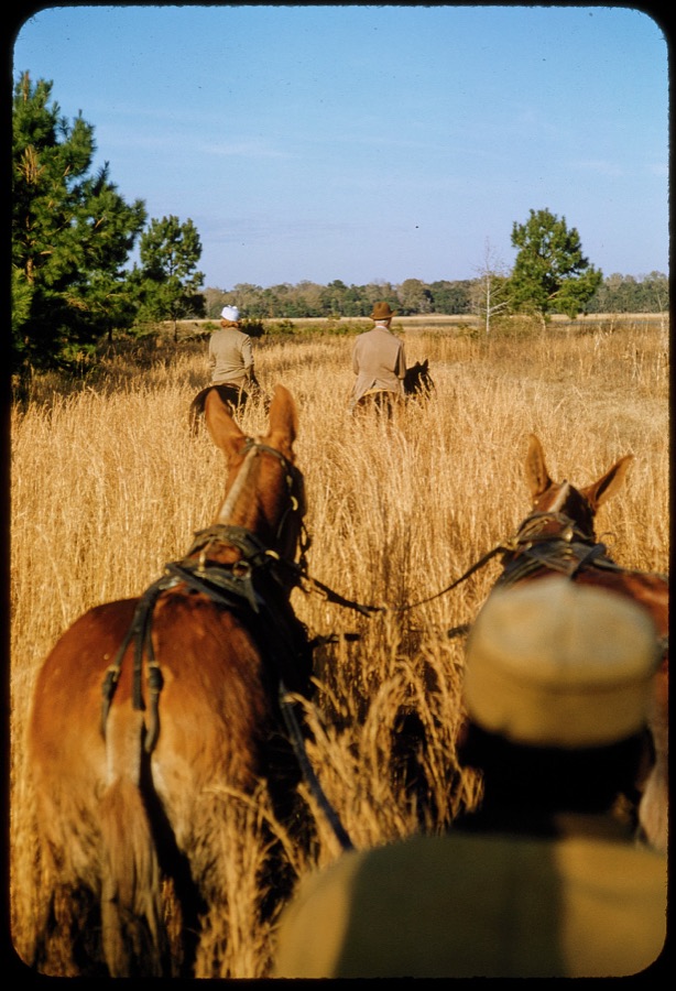 Quail Hunting - Extras