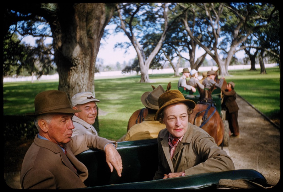 Quail Hunting - Extras