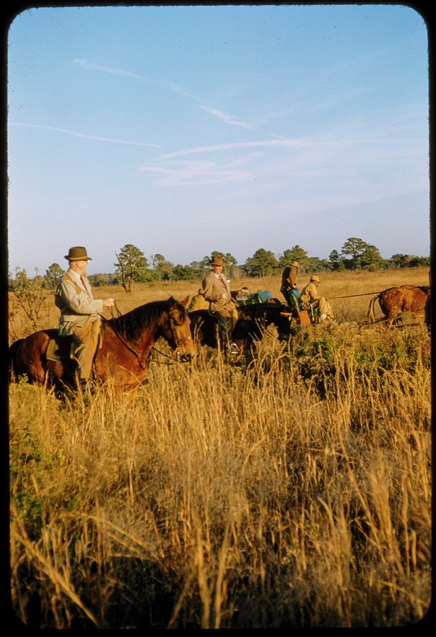 Quail Hunting - Extras