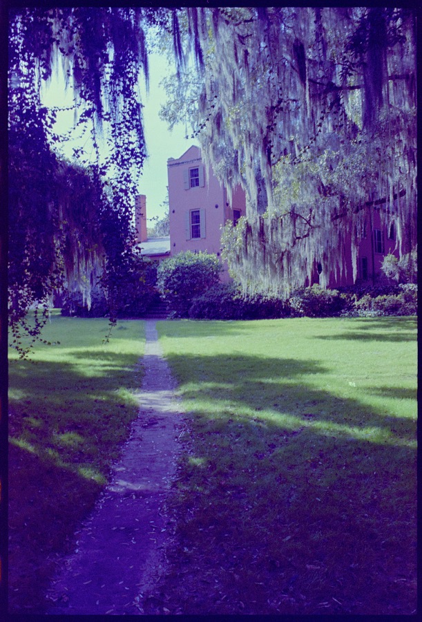 Medway Plantation