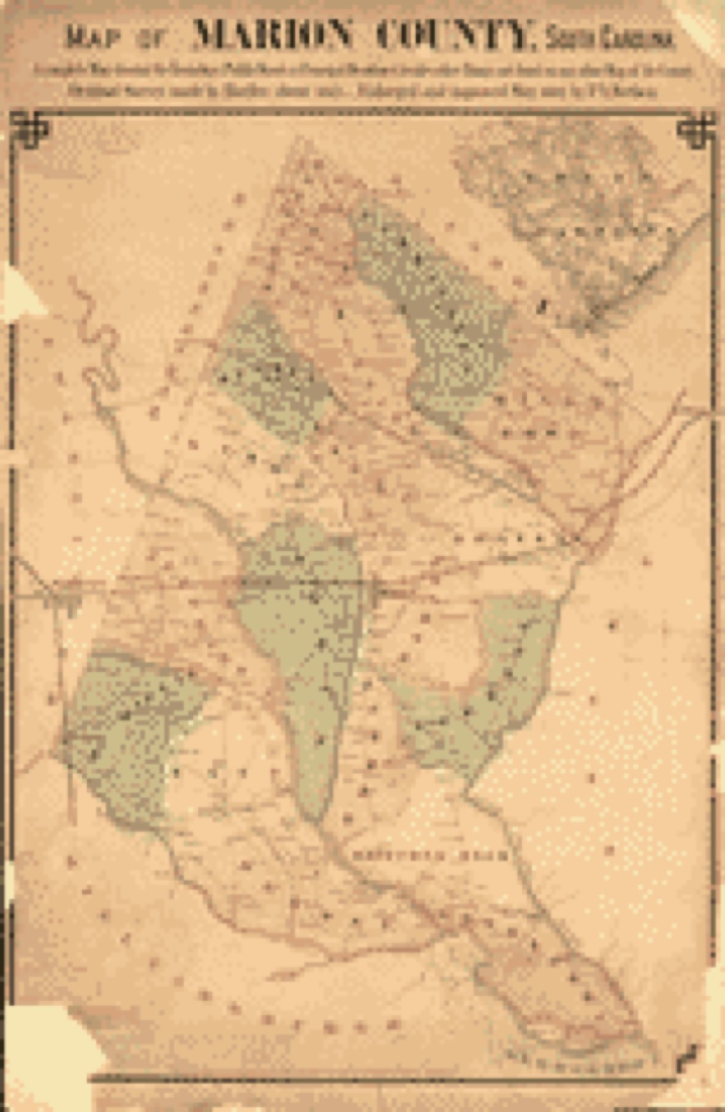Land ownership map, 1882 - Map of Marion County, South Carolina : a complete map showing the townships, public roads & principle residences, besides other things not found on any other map of the county