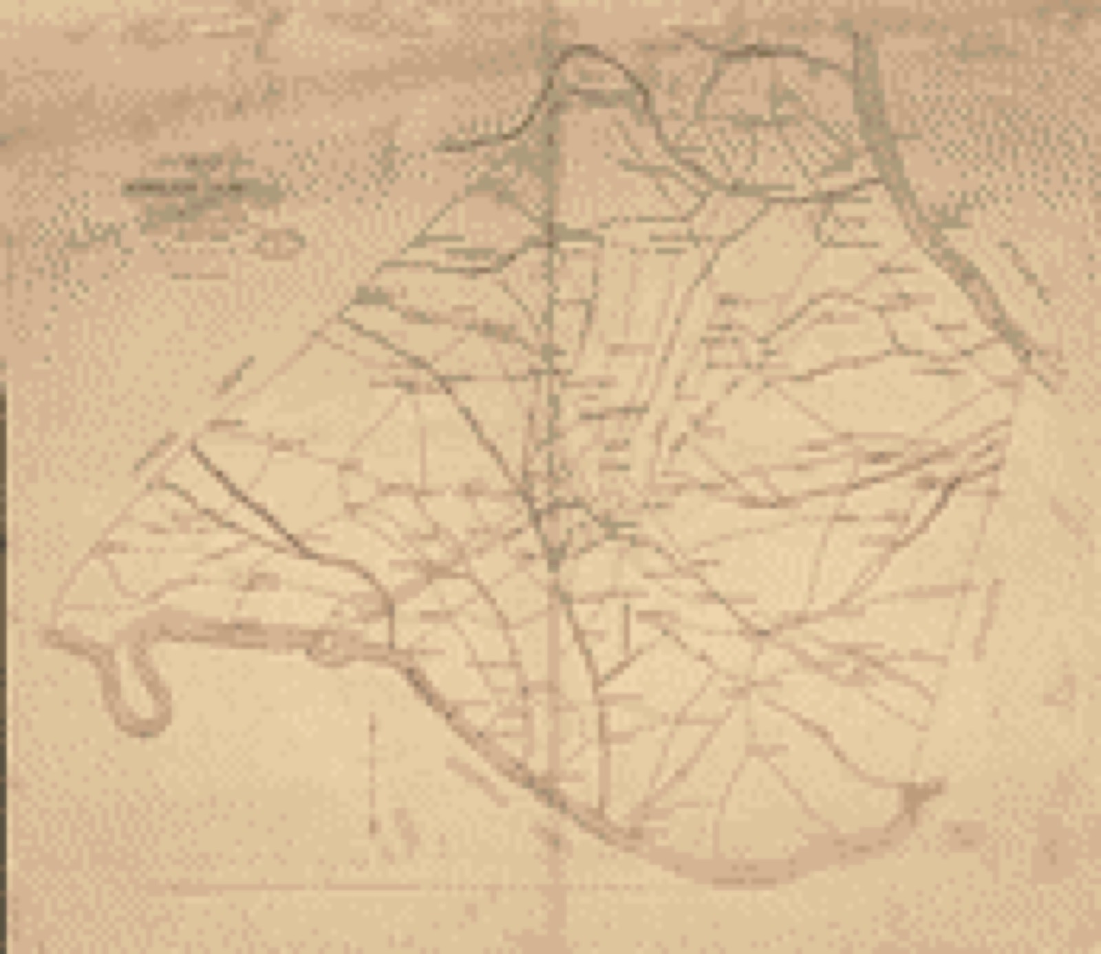 Land ownership map, 1887 - Map of Newberry County, S.C.