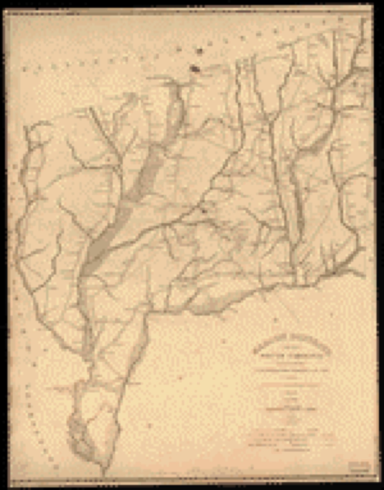 Land ownership map, 1825 - Marion District, South Carolina